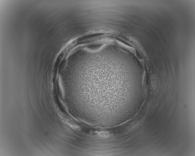 X0000078290395200611172128