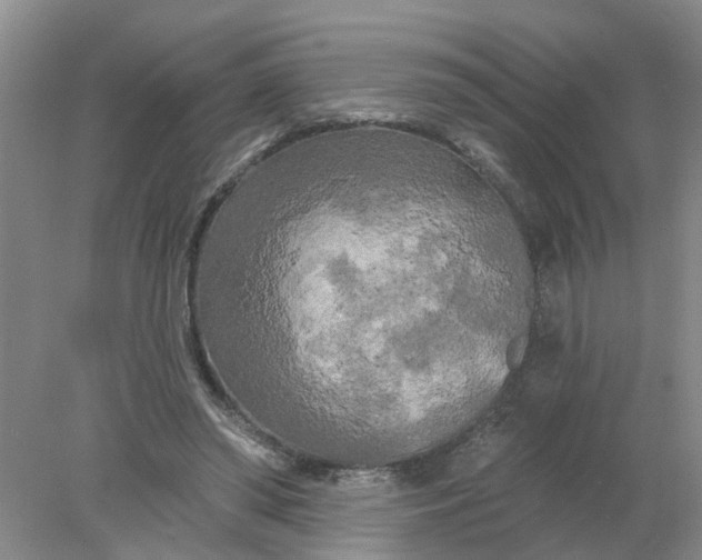 X0000078290398200611172128