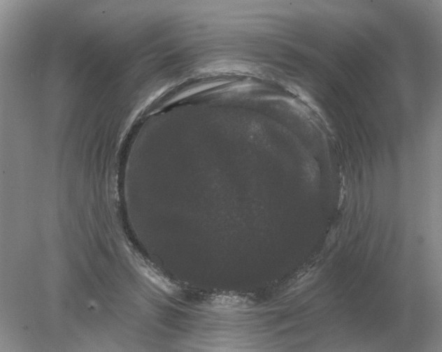 X0000078290399200611172128