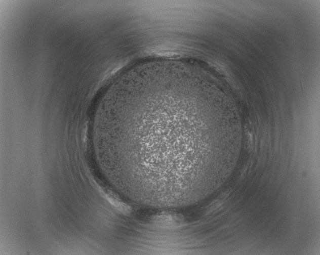 X0000078290404200611172128