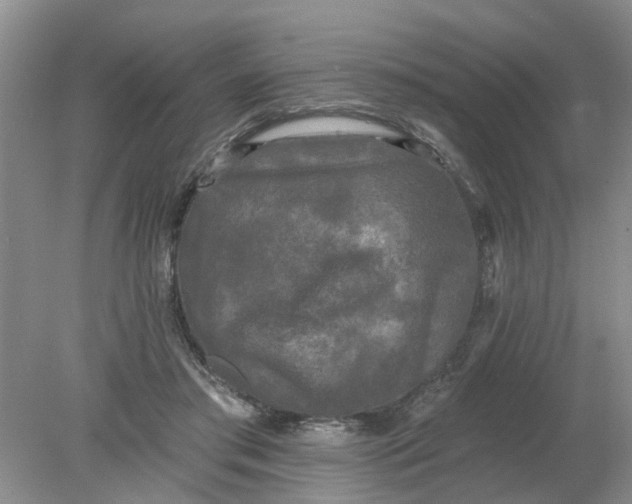 X0000078290405200611172128