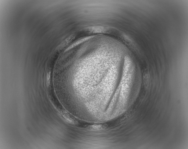 X0000078290406200611172127