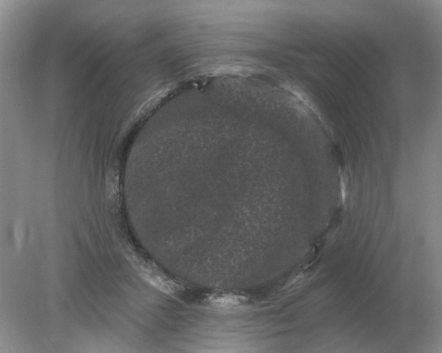 X0000078290407200611172127