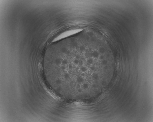 X0000078290408200611172127