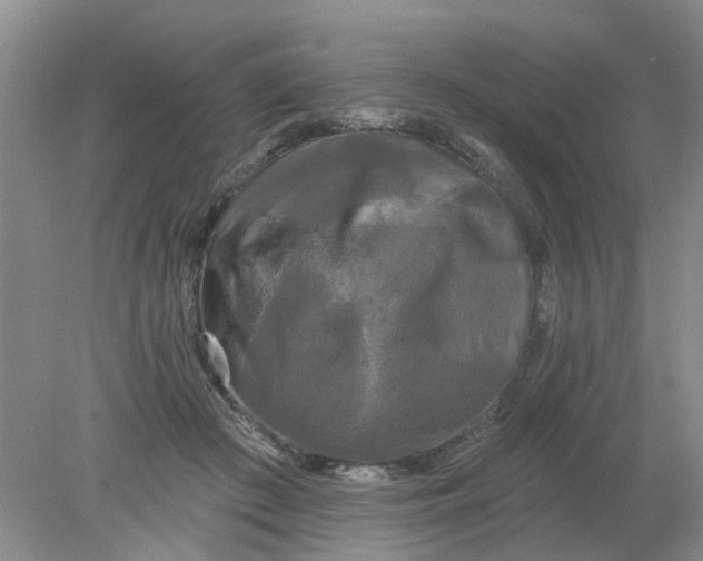 X0000078290409200611172127