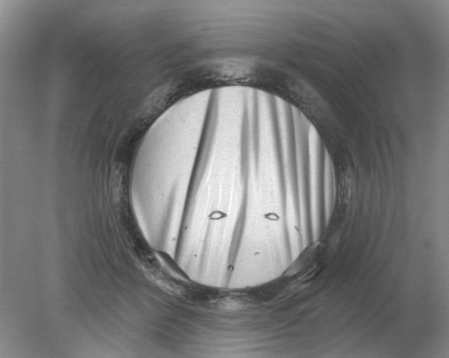 X0000078290412200611172127