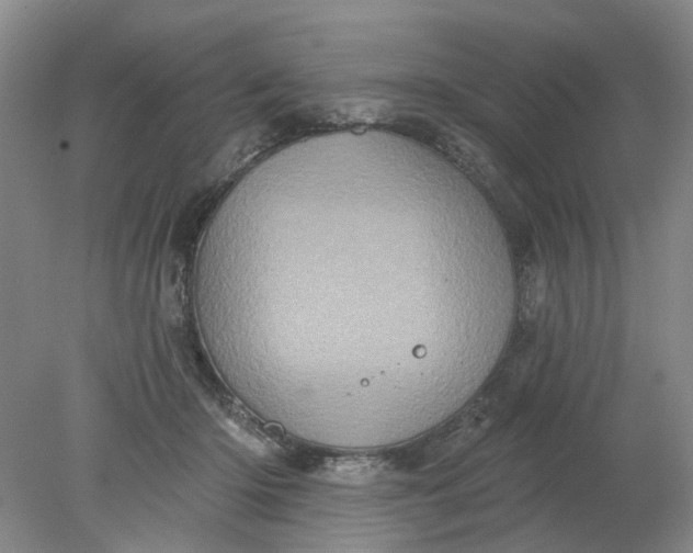 X0000078290414200611172127