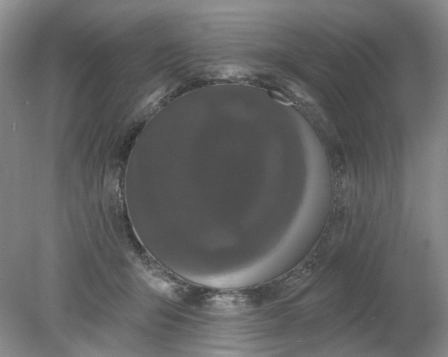 X0000078290415200611172127