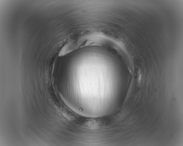 X0000078290416200611172127