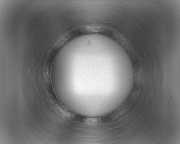 X0000078290418200611172127