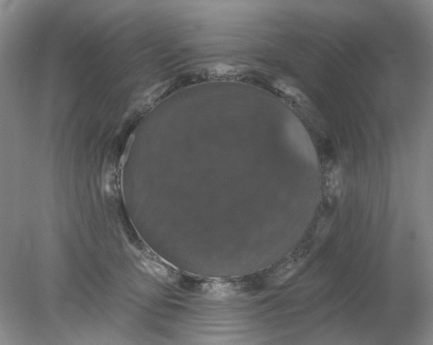 X0000078290419200611172127