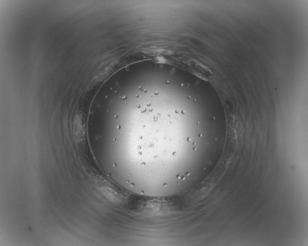 X0000078290420200611172127