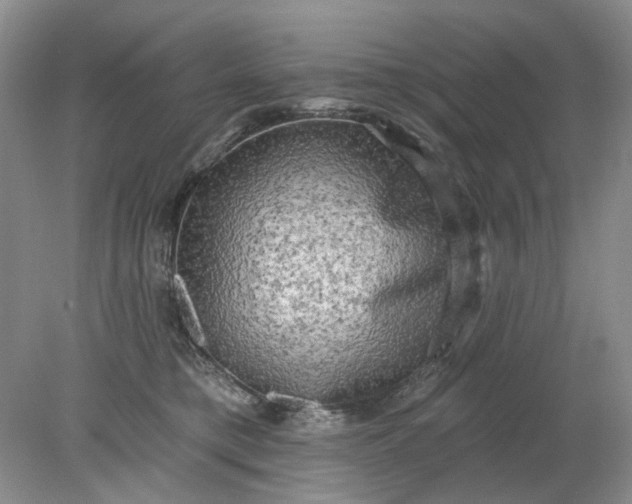 X0000078290421200611172127