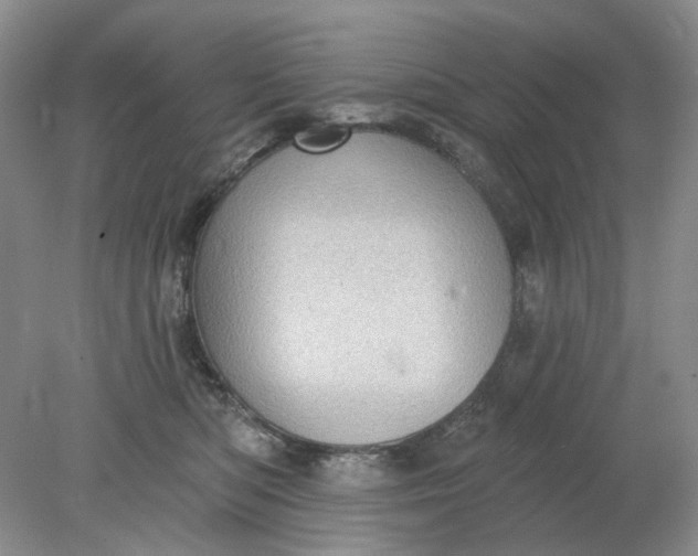 X0000078290422200611172127