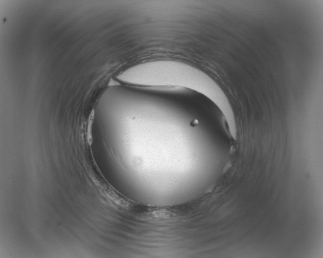 X0000078290423200611172127