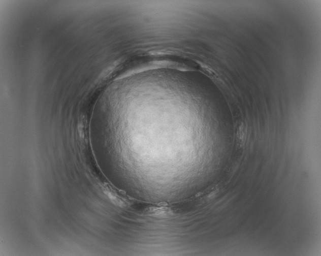 X0000078290424200611172127