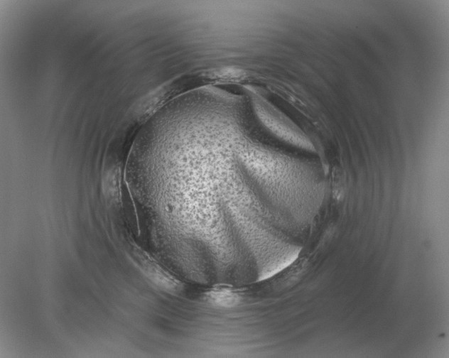 X0000078290425200611172127