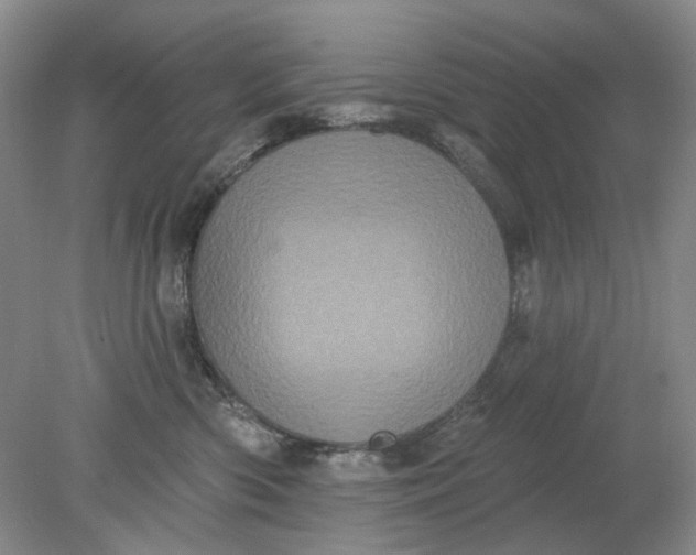 X0000078290426200611172127