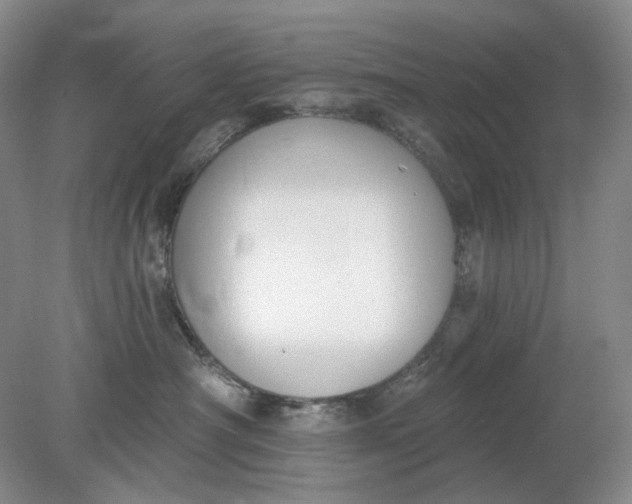 X0000078290430200611172127