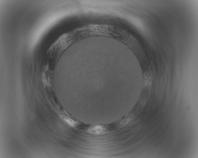 X0000078290431200611172127