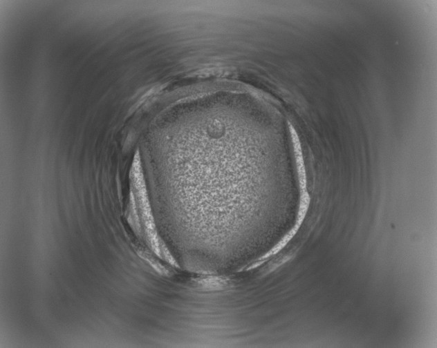 X0000078290432200611172127