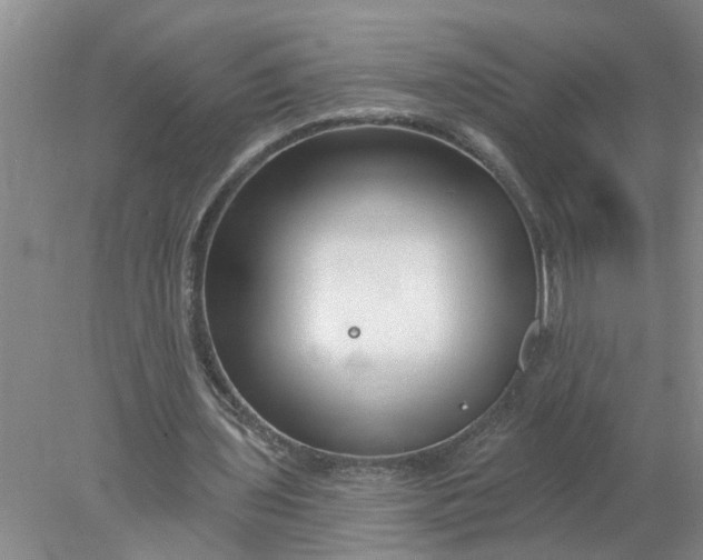 X0000078290435200611172126