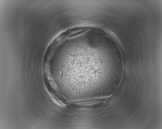 X0000078290436200611172126