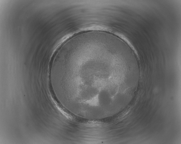 X0000078290437200611172126