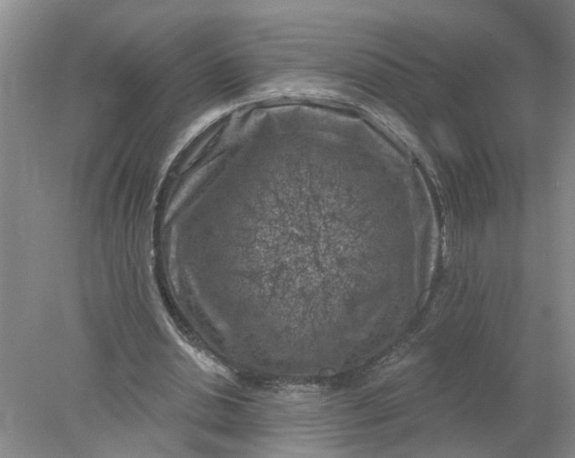 X0000078290438200611172126