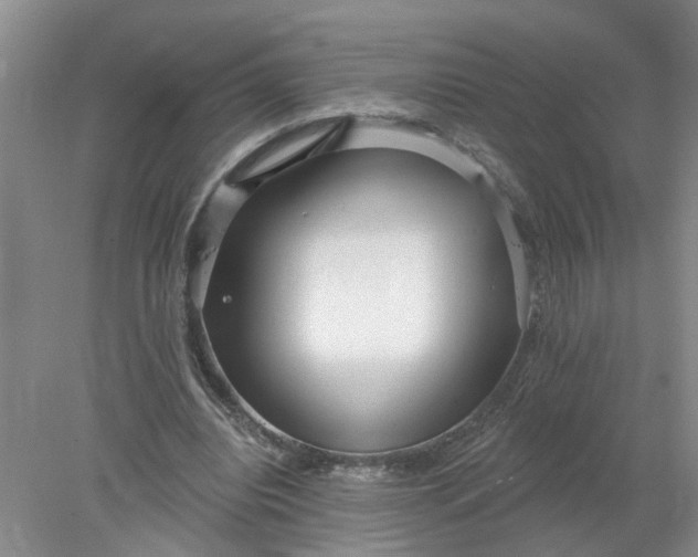 X0000078290440200611172126