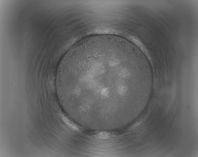 X0000078290441200611172126