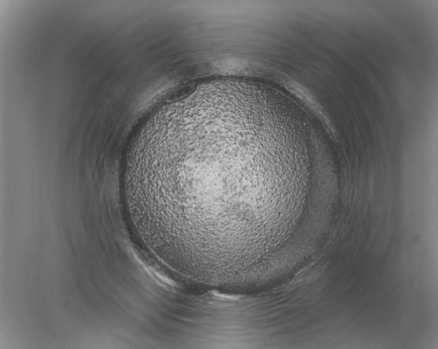 X0000078290442200611172126