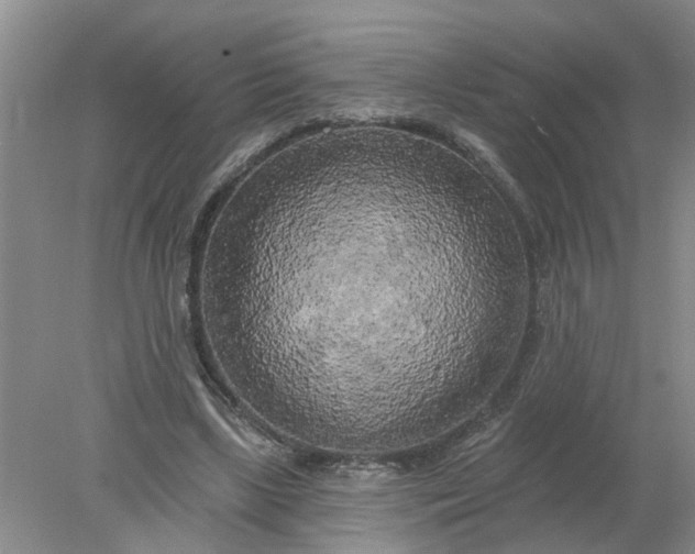 X0000078290443200611172126