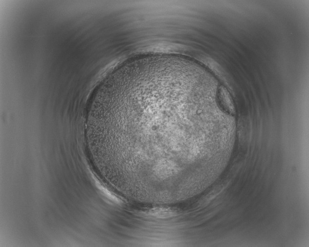 X0000078290445200611172126