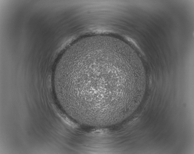 X0000078290447200611172126