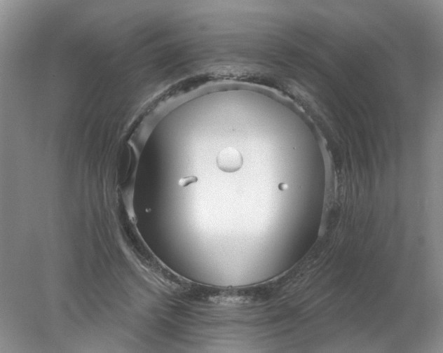 X0000078290448200611172126