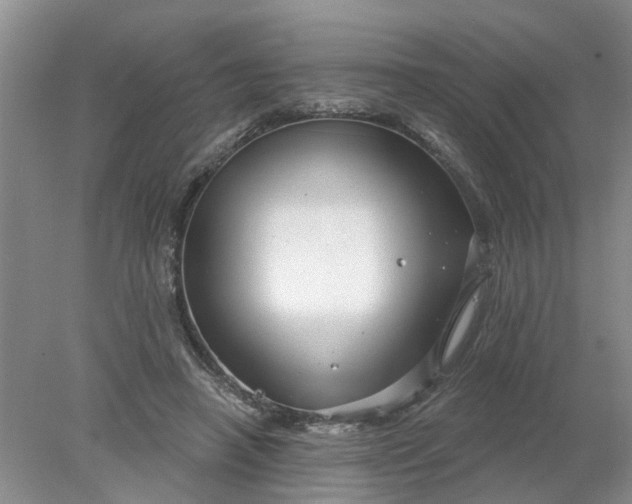 X0000078290450200611172127