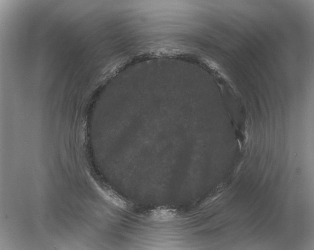 X0000078290451200611172127