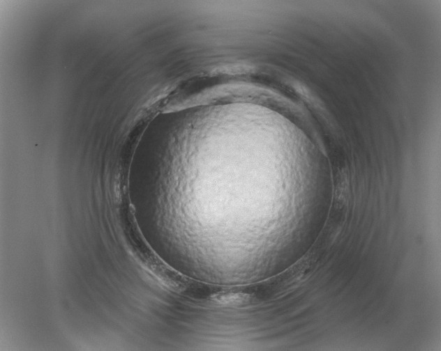 X0000078290452200611172127