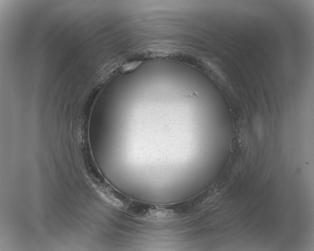 X0000078290455200611172127