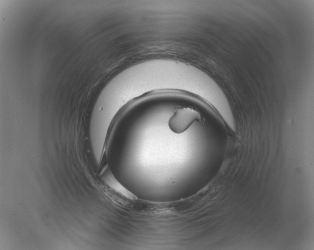 X0000078290456200611172127