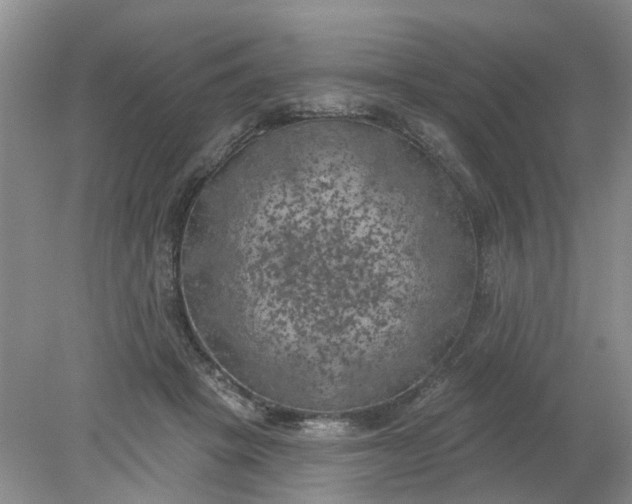 X0000078290457200611172127