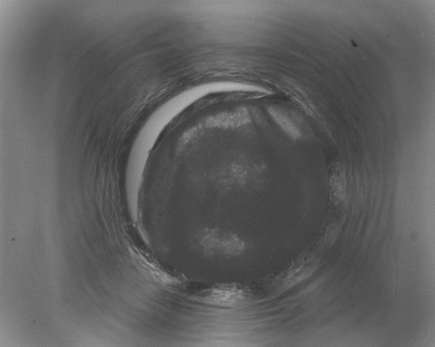 X0000078290458200611172127