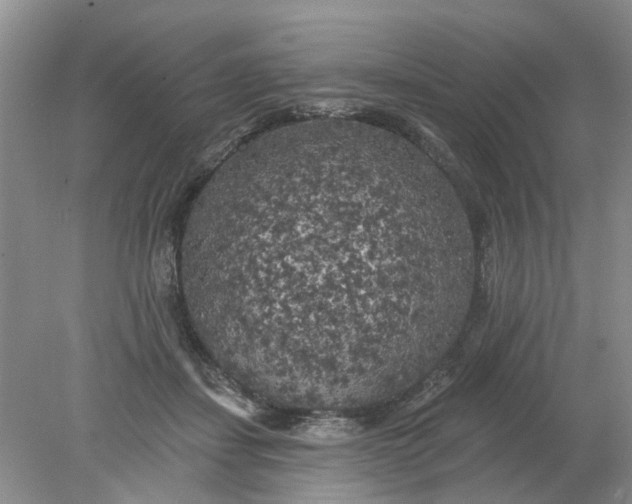 X0000078290459200611172127