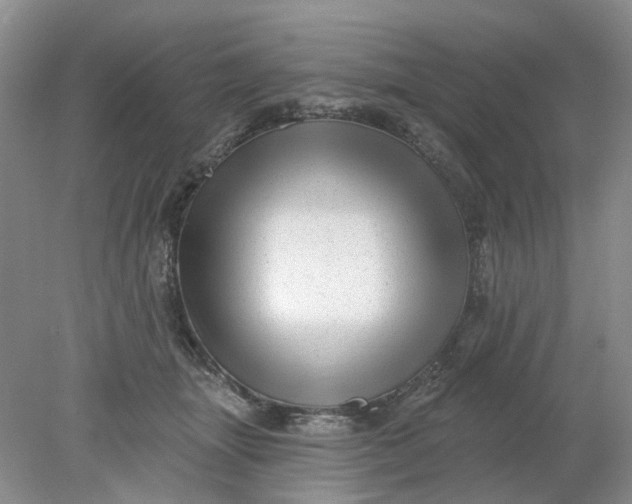 X0000078290463200611172127