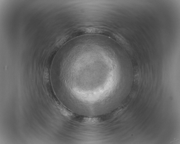 X0000078290469200611172127