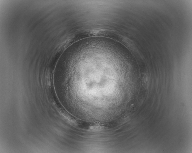 X0000078290470200611172127