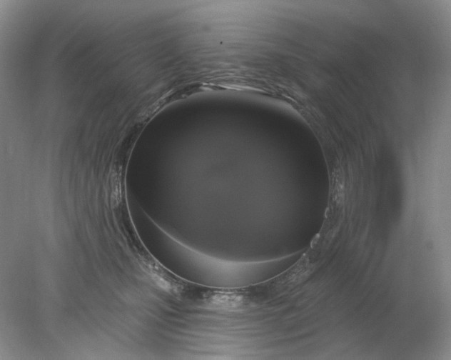 X0000078290471200611172127