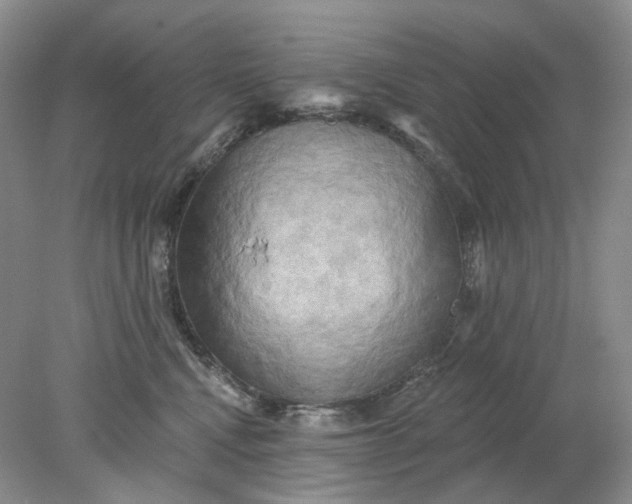 X0000078290472200611172127