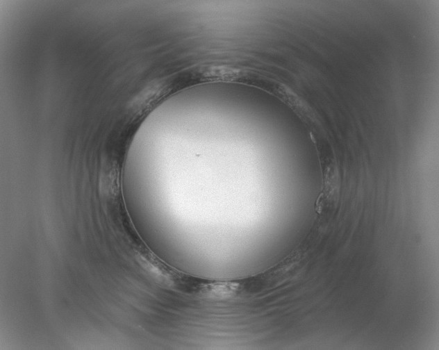 X0000078290474200611172127